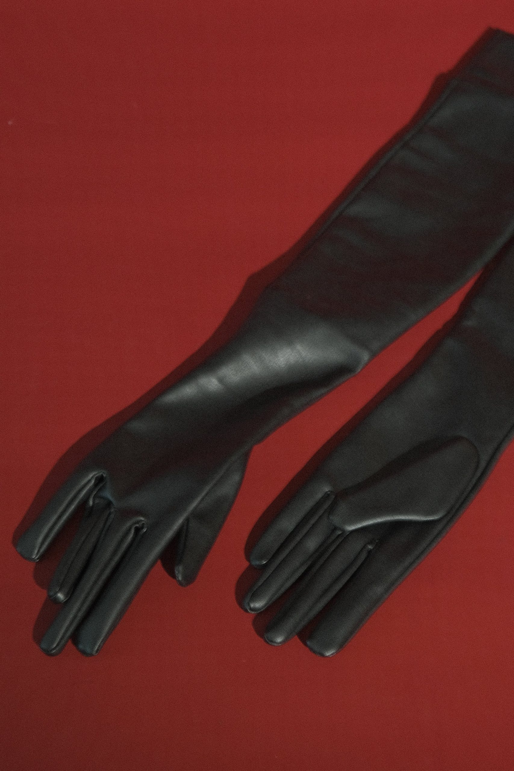 Jasper Faux Leather Elbow Length Gloves - Black - Image 6